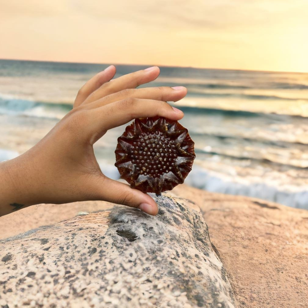 Coffee Soap