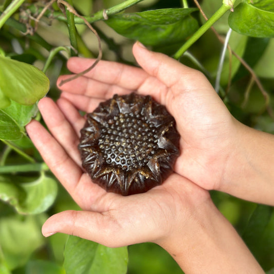 Coffee Soap